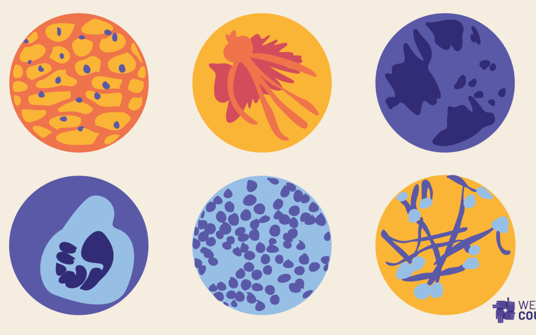 Introduction to the We All Count Microscope Tool